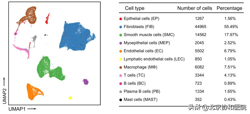 协和医院妇产科专家朱兰教授,协和妇科朱兰