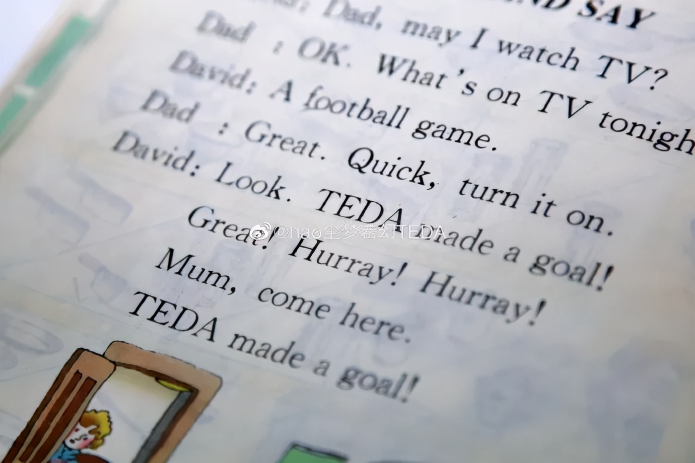 天津津门虎主场泰达,天津泰达津门虎俱乐部