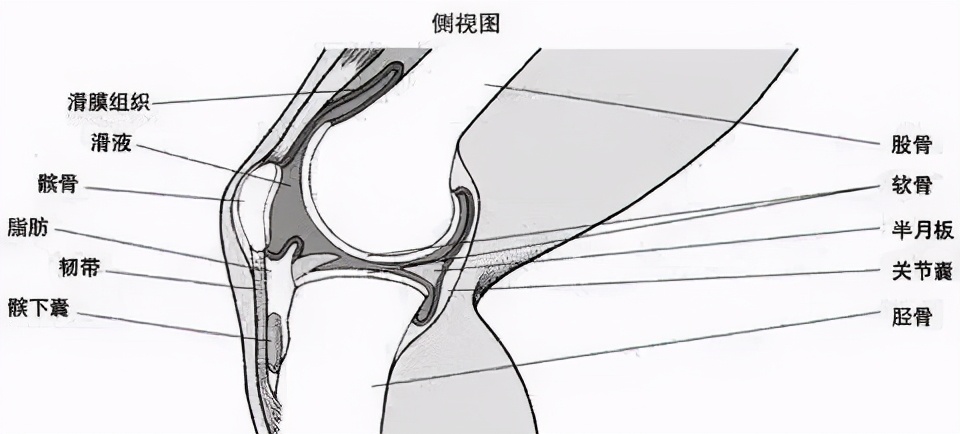 经常打腿有什么害处,腿打软是什么原因