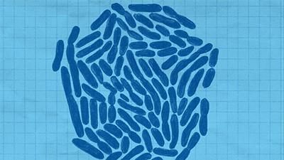 老是莫名其妙真菌感染,总是真菌感染是因为什么