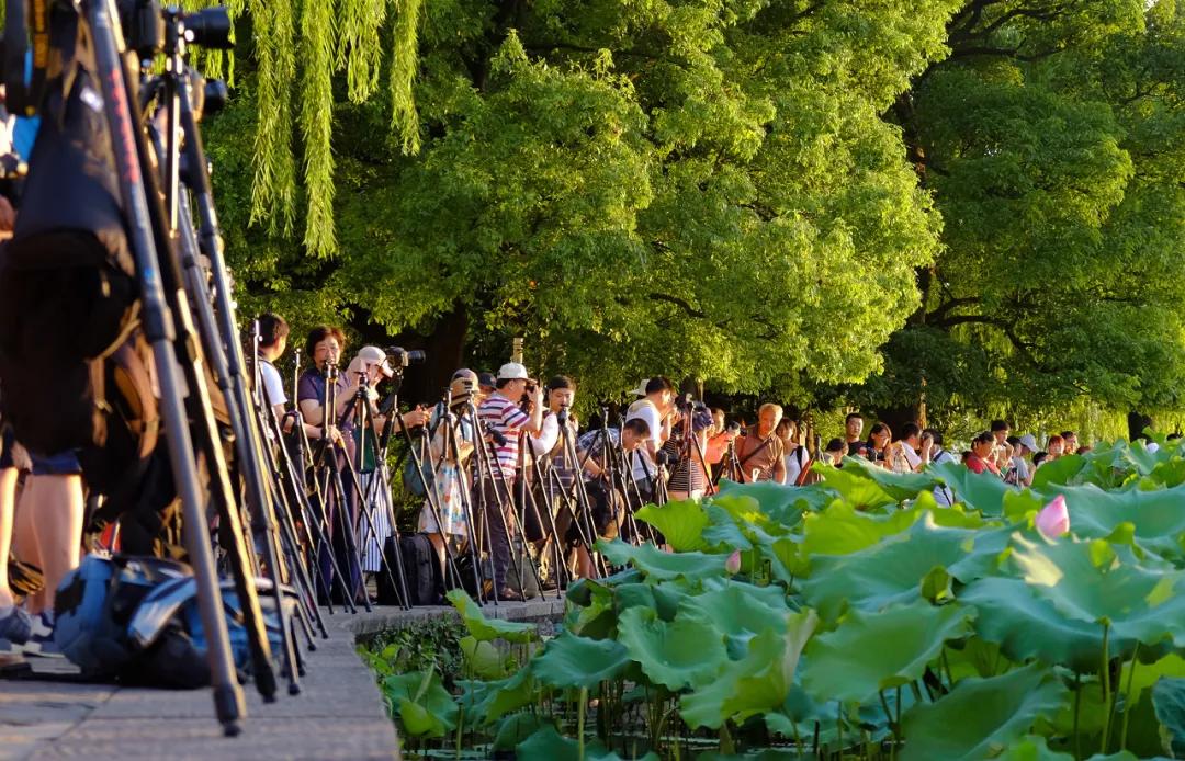 只要思想自由,只要开心坐在家里也可以周游世界