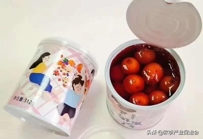 欧李是麻梨吗,欧李是什么水果