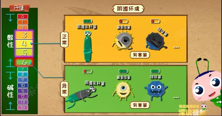 输卵管炎是怎么引起的,输卵管炎症消除动画