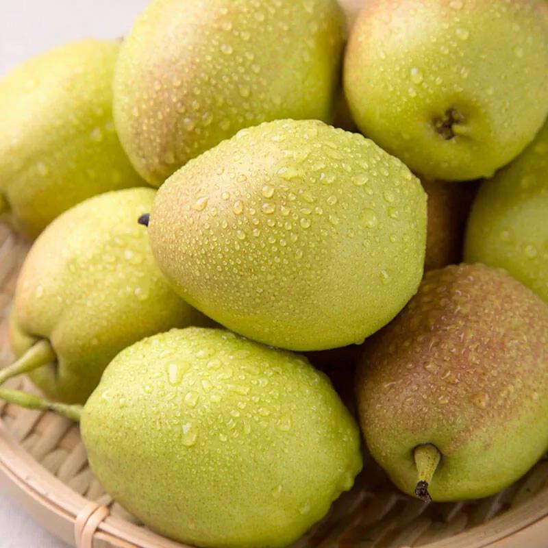 库尔勒秋天的香梨,库尔勒香梨香甜多汁