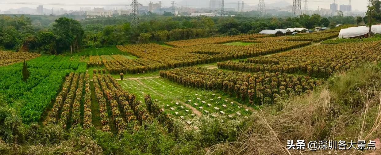 石岩湖是一级水源保护区，为了保护周围都开始*迁拆**，能赔多少钱？