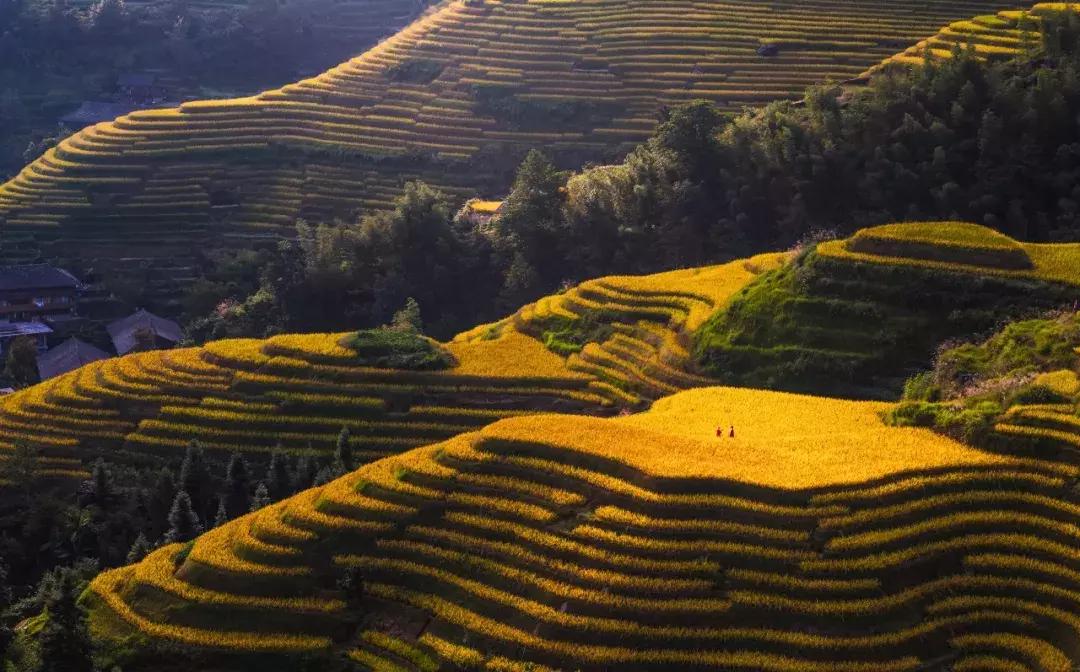 这辈子没看过这里，上帝都会觉得可惜！随手拍都是一幅画