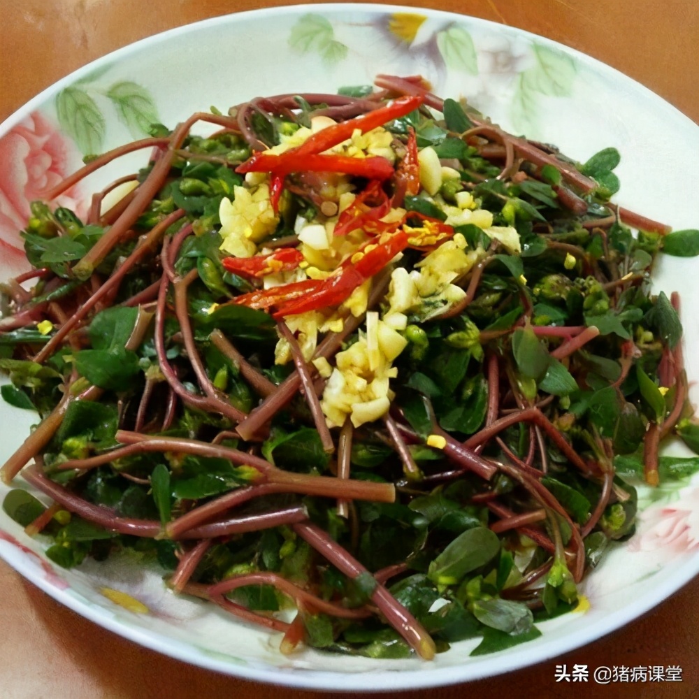 马齿苋是不是药食同源,马齿苋药食同源的长命菜