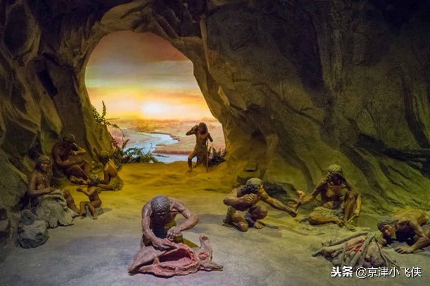 原始人吃冻肉,原始人吃野果