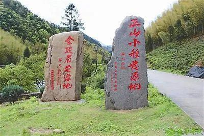 红茶有哪些品种哪个品牌最好,红茶有哪些品种前十名金骏眉