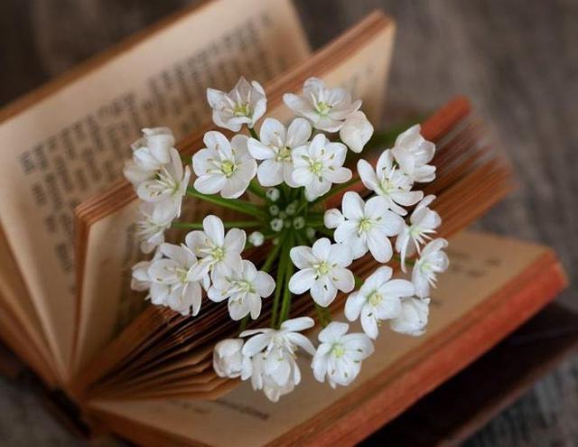 对方把微信拉黑和删除有什么区别,微信被删除和拉黑朋友圈显示什么