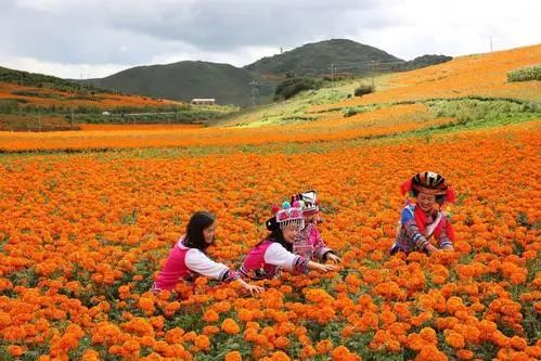 大案纪实：云南省邱北县春节酿*案惨**，15分钟4人殒命