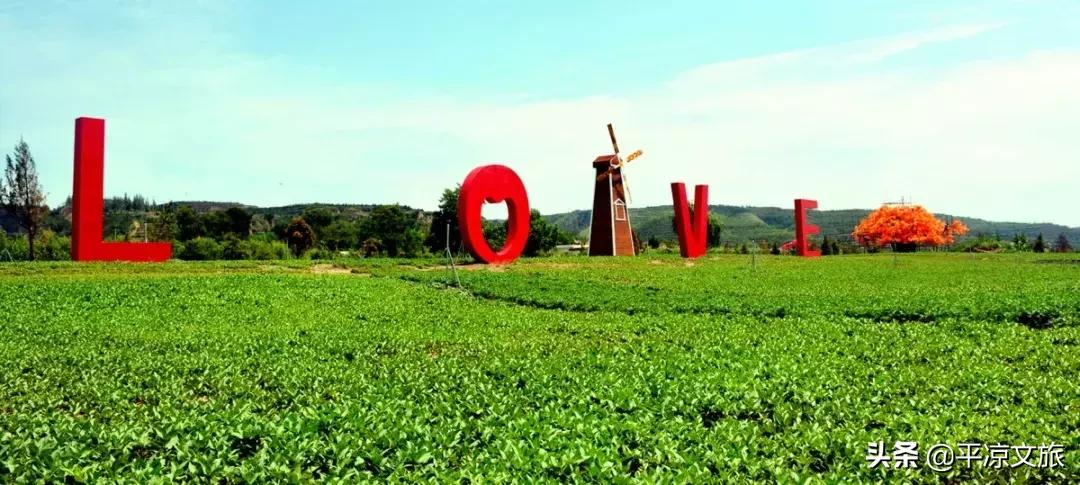 平凉泾川特色小吃,平凉泾川名吃