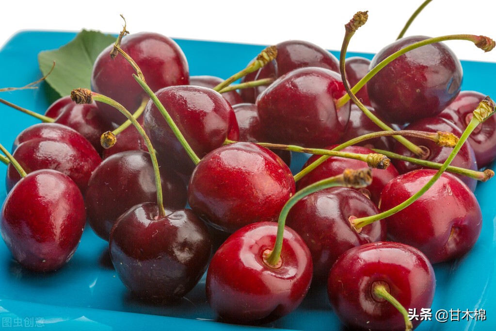 童年野果子,儿时的野果子总让人回味无穷