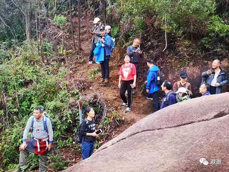 温州居然有这么美的小众景点,温州青龙山风景区在哪里
