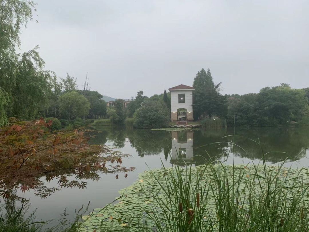 南京六大亿元顶级豪宅,南京千万以上豪宅真实成交量