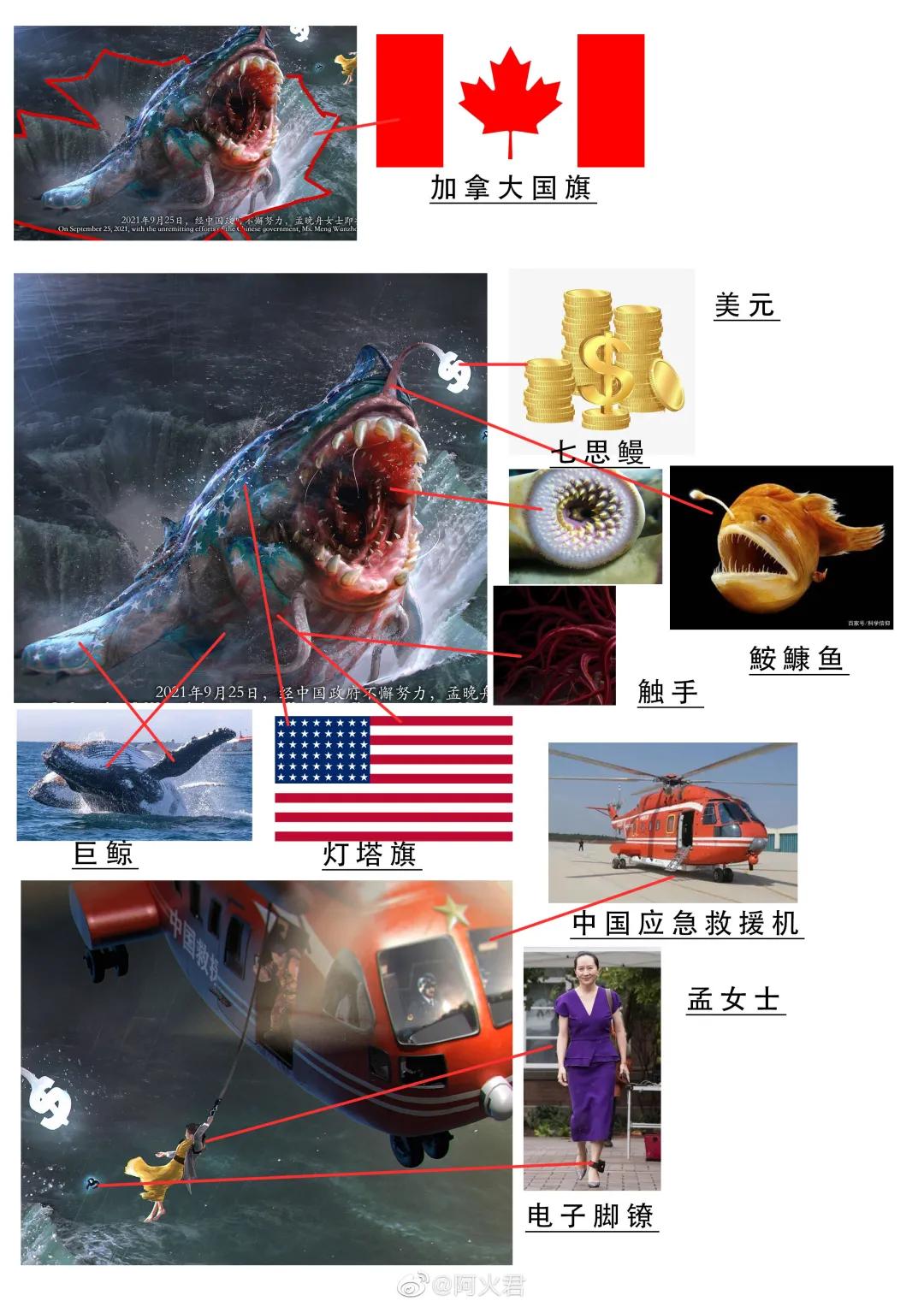 孟晚舟回国超清大图,孟晚舟归国感言配图