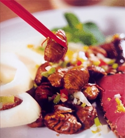 身披铠甲的土肥圆,土鳖不是形容词,而是餐桌上100一斤的美食