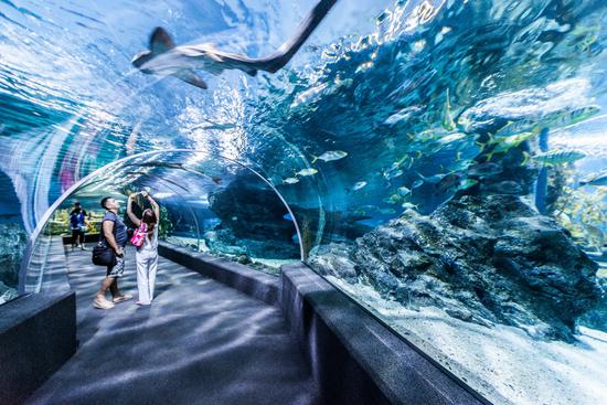 曼谷米其林美食攻略,曼谷购物必买的东西清单