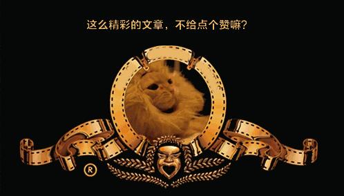 如果被鳄鱼咬住如何让鳄鱼松口,被鳄鱼咬住脚最好的挣脱方法