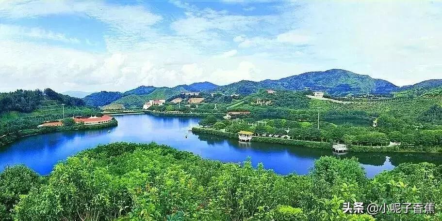 回到梅州你后悔了吗,你回梅州了吗