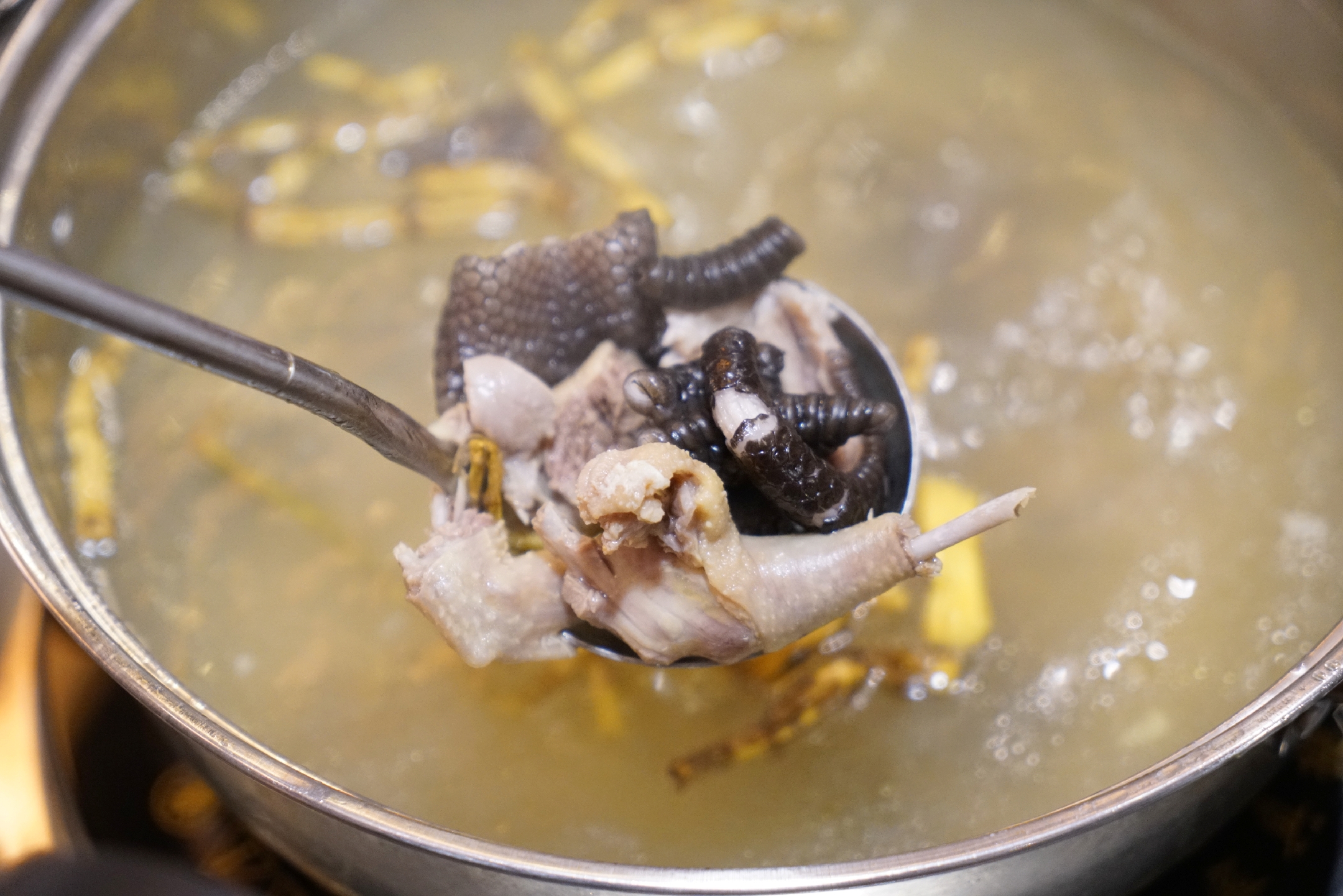 蛇肉有些蛇能吃还是有些蛇不能吃,蛇肉冬虫夏草