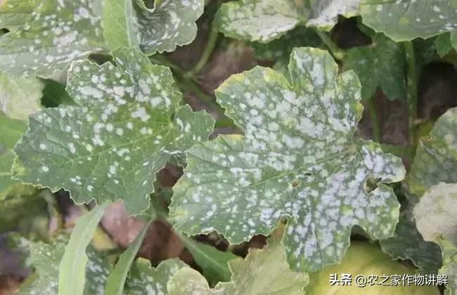 杩欑瘒鏂囩珷鎶婂厷鍙茶閫忎簡,杩欑瘒鏂囩珷澶不鎰堜簡鑻辨枃