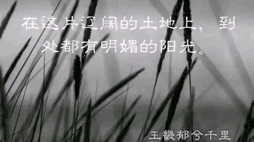 百年即墨,百年青岛