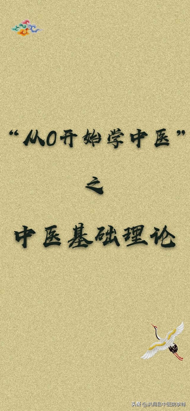 中医基础理论30,中医基础理论3代表什么