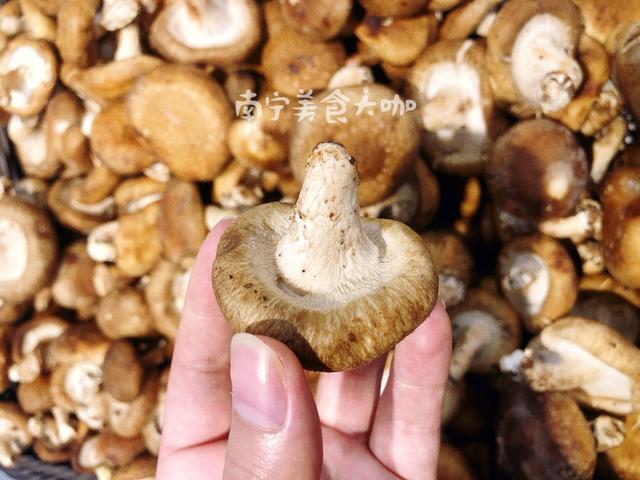 买香菇挑湿的买还是干的买,买香菇应该买大的还是买小的