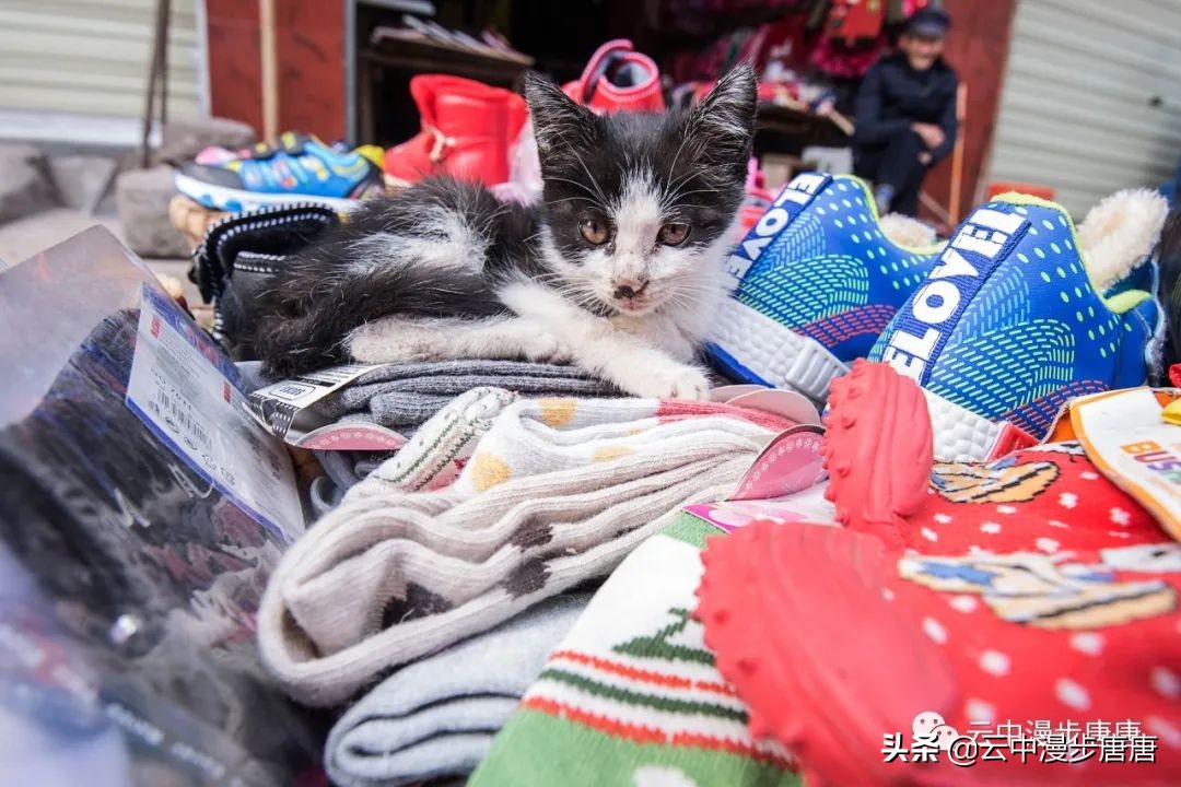 四川岳池坪滩旅游,岳池坪滩游玩攻略