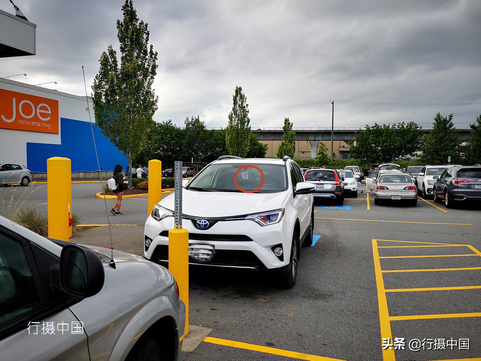 加拿大牛腱肉价格,加拿大牛小排价格