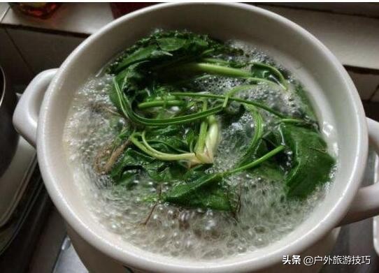 农村里常见的车前草有什么功效,这才是车前草正确用途