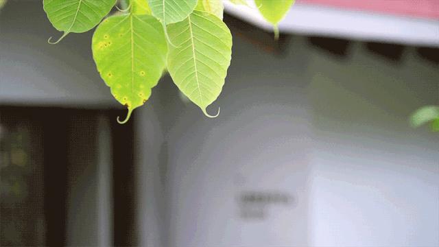 遇间播报|三亚太阳湾柏悦酒店隐奢国牌在此诞生！有惊喜