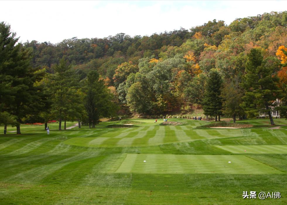 美国圆石滩高尔夫球场,美国高尔夫球场数量