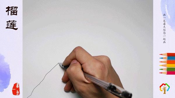 彩铅画画芒果,彩铅画画昆虫