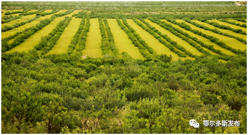 40年翻天覆地的巨变,深圳巨变40年