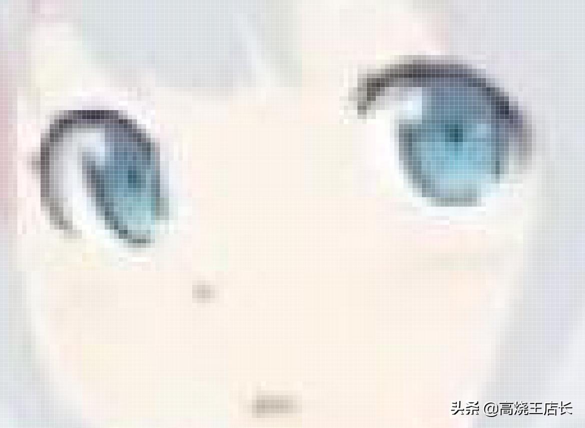 1秒学会分辨东西,一分钟学会分辨假货