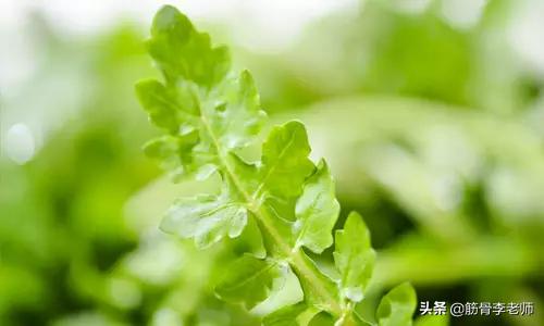 想知道春天发脾气、起痘痘、生口疮的秘密吗？