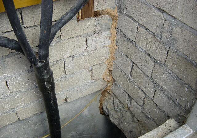 绵阳除白蚁公司怎么收费的,怎么找消灭白蚁公司