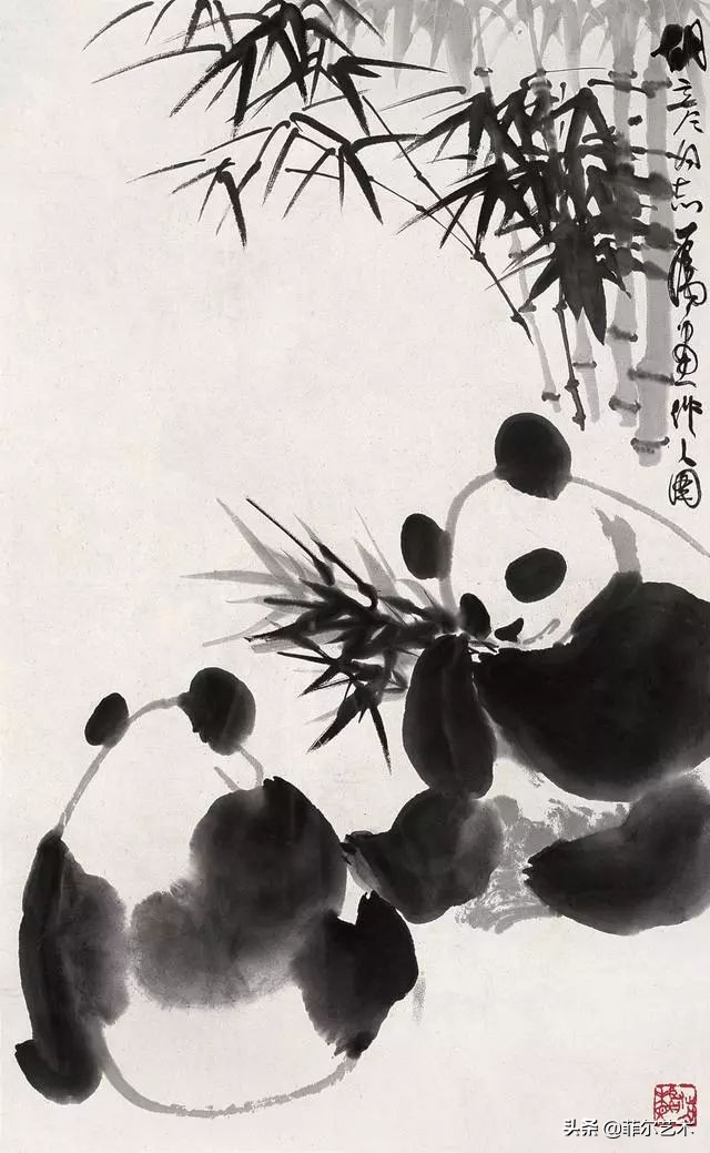 吴作人画速写熊猫,熊猫国画吴作人图文