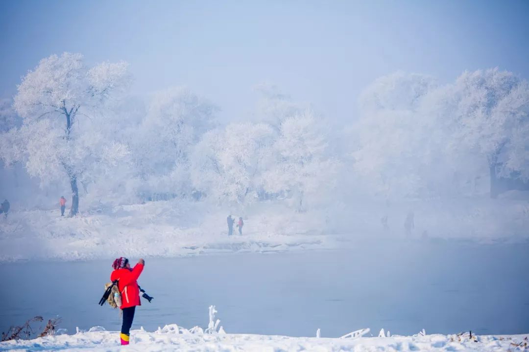 最漂亮的雾凇雪景在哪里,为什么吉林的雾凇最知名