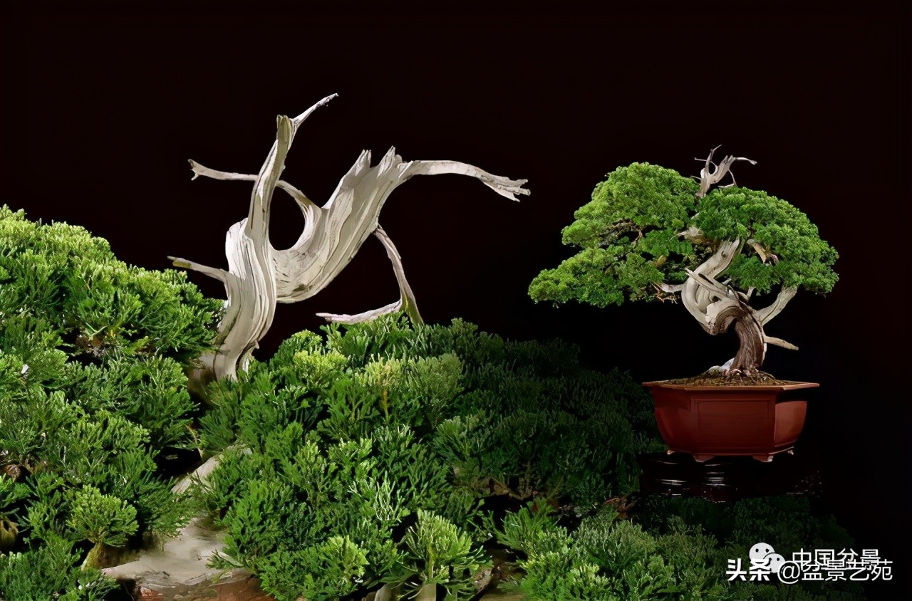 西泠印社砚台最高价拍卖记录,杭州西泠拍卖盆景