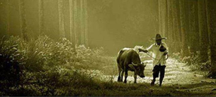 经典值得看的电影推荐知乎,知乎上推荐的10部电影