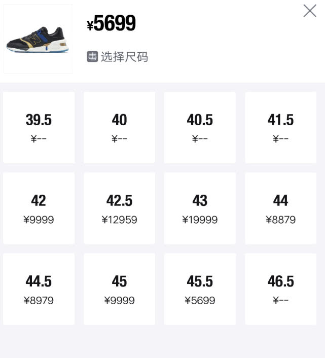 伦纳德猛龙总冠军球鞋,猛龙总冠军的意义