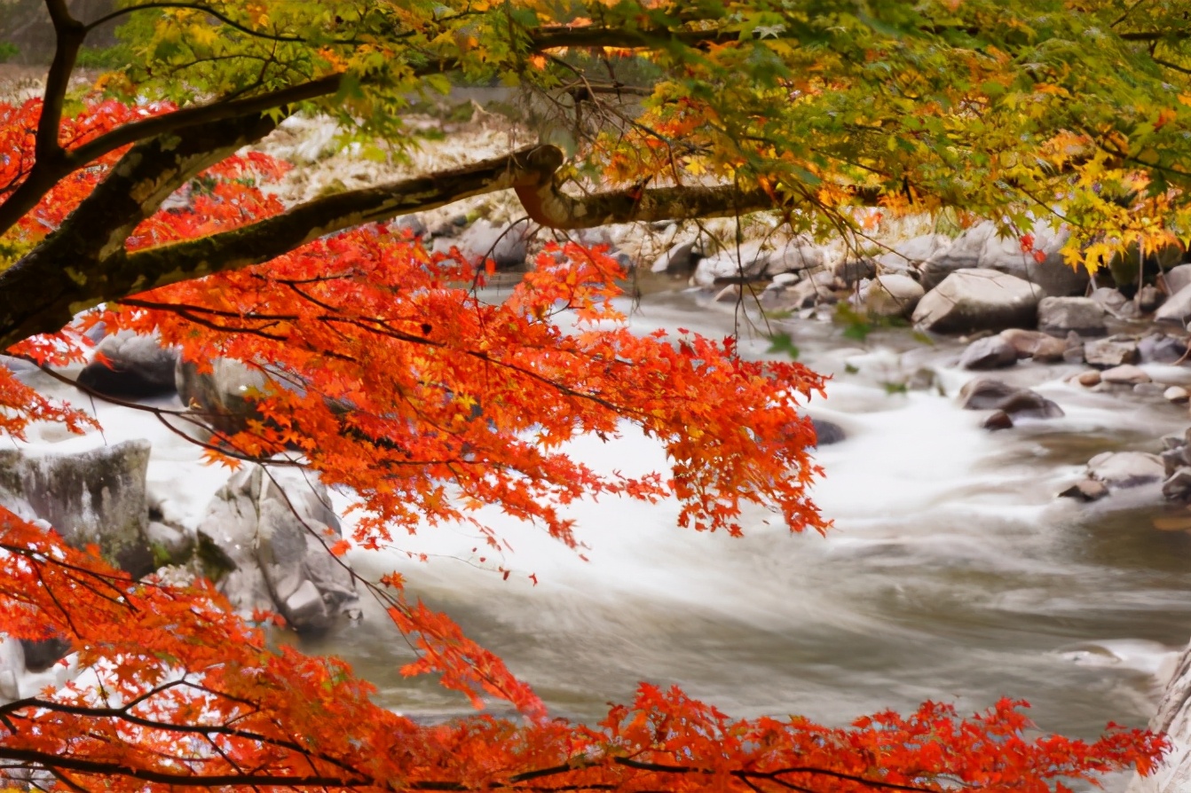 日本爱知县旅游攻略,玩转日本自由行