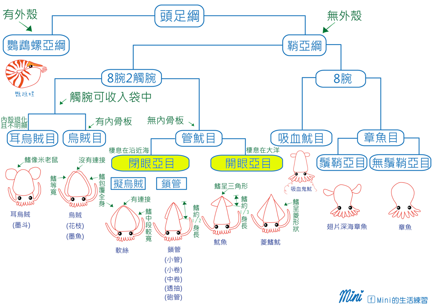 海鲜认识和吃法,海鲜解析