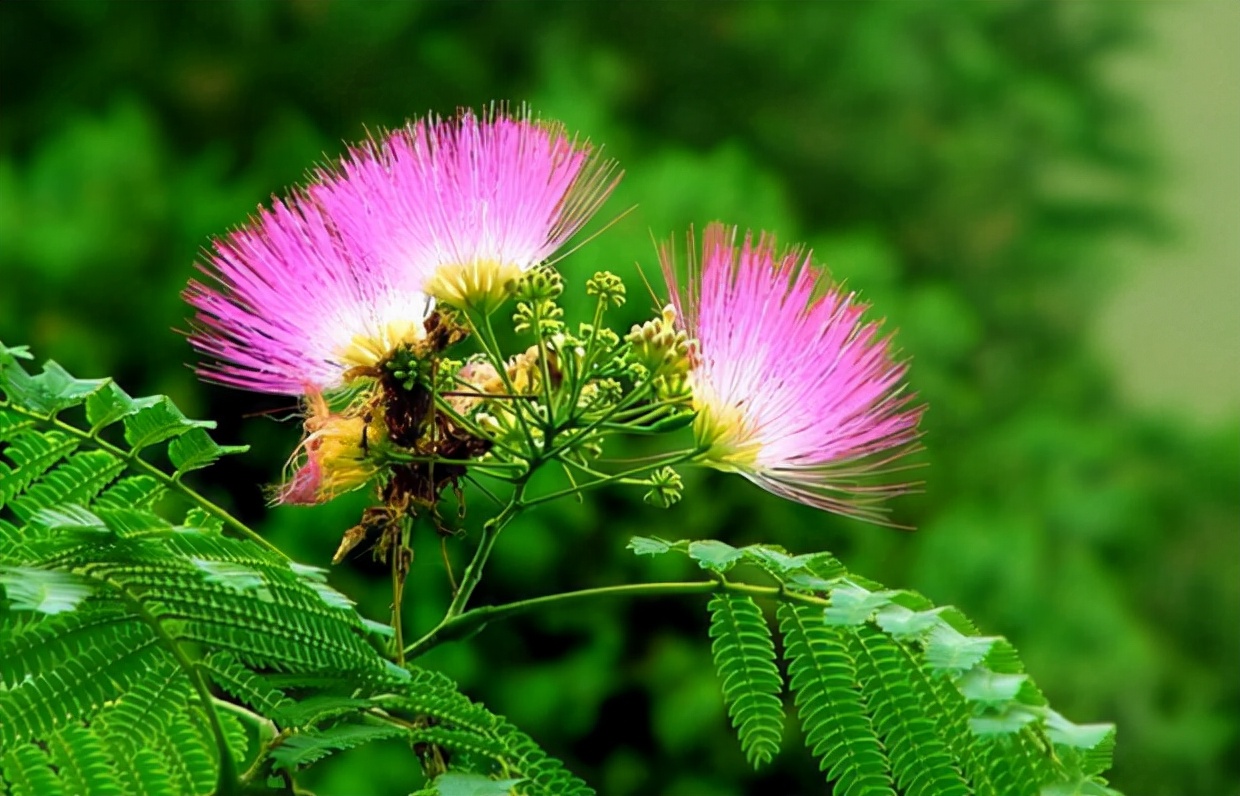 如何防止身边人嫉妒你,被人嫉妒了害你怎么办