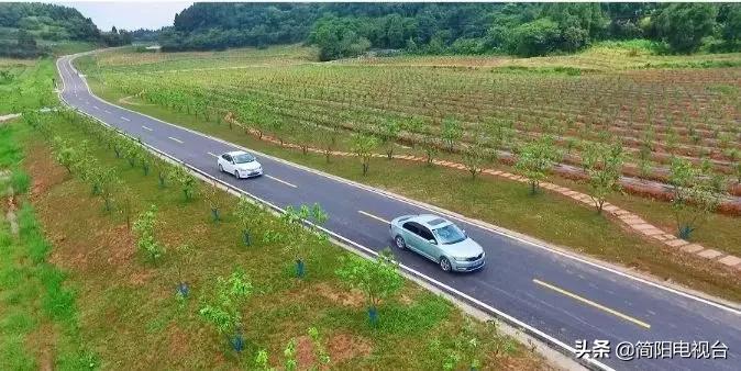 遇见天府雄州|陈新:一道美食映照的修为