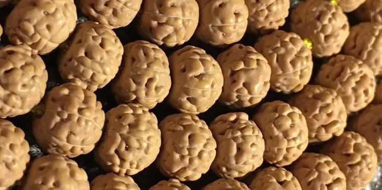 小金刚菩提梅花纹路什么价位,小金刚菩提什么纹路的最好