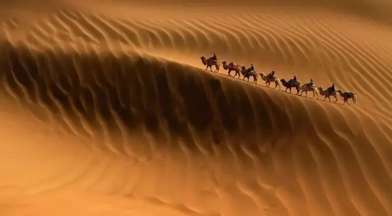 讲好黄河故事传承河洛文化,讲好黄河故事传承黄河文化内容